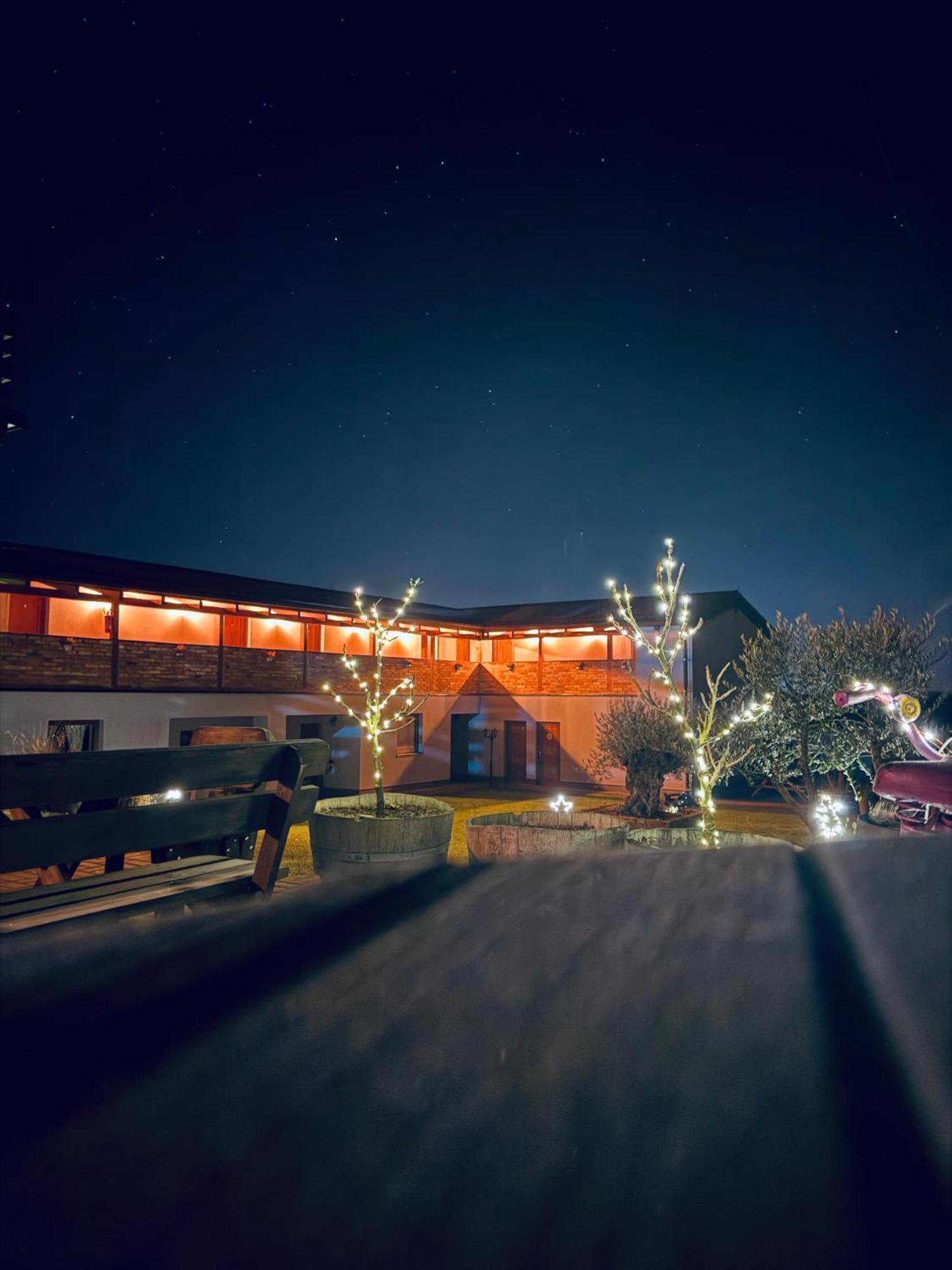 Penzion Vinarstvi Fabikovic Velke Bilovice Bagian luar foto